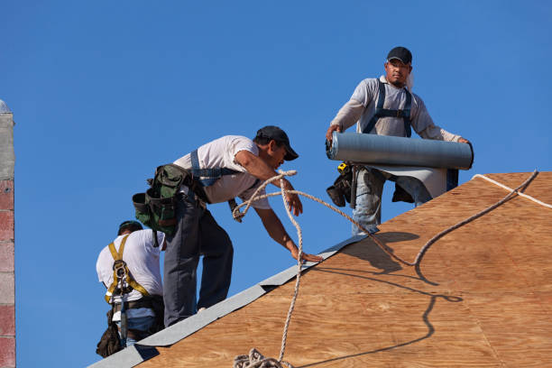 Best Roof Maintenance Services  in Port Angeles East, WA