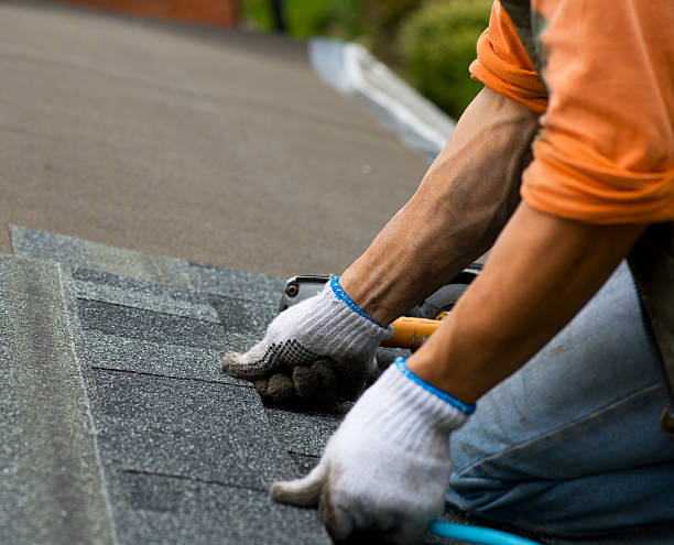 Best Roof Gutter Cleaning  in Port Angeles East, WA